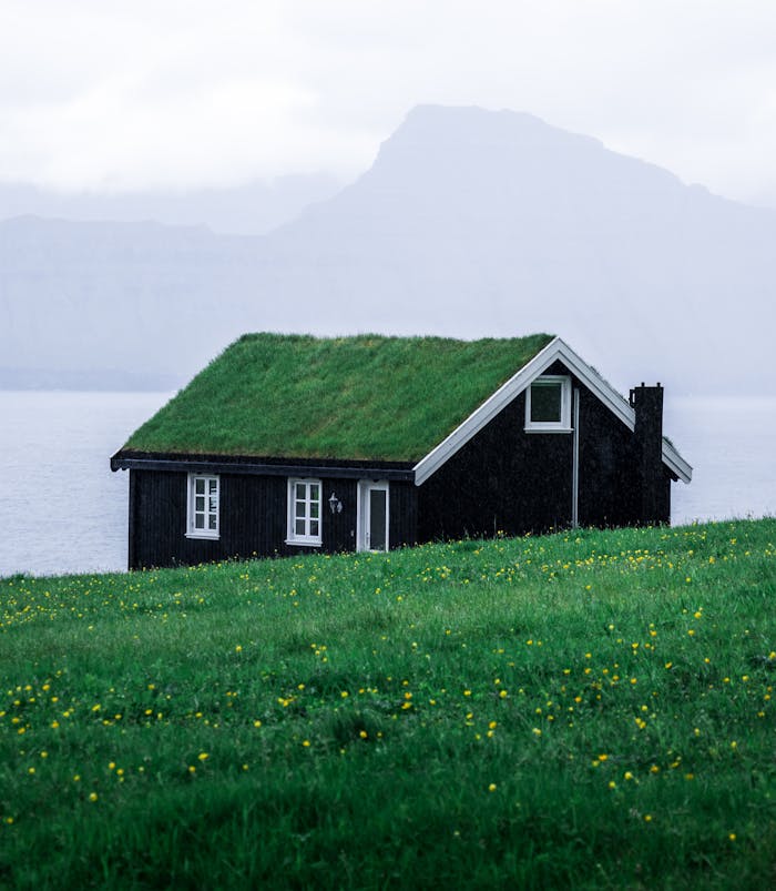 Ellis Garten – wie ein unscheinbares Haus zum Charakterhaus wird Charming black wooden house with a grass roof in the tranquil Faroe Islands landscape.